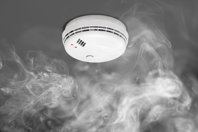 Fire Detector Inspection